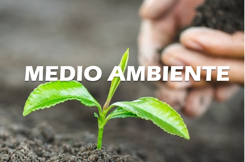 MEDIO AMBIENTE