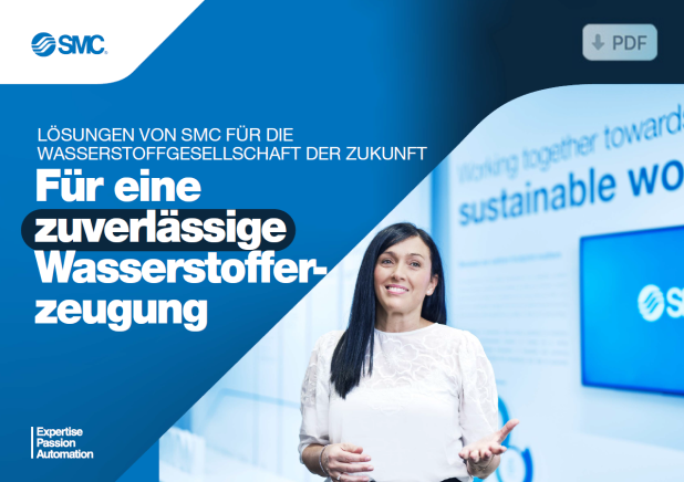 Wasserstoffindustrie Broschüre
