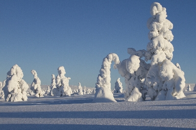 Poikkeusaukioloajat