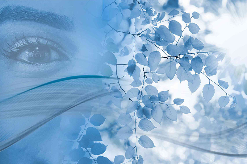 Corporate Social Responsibility