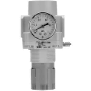 ARP20/30/40, Direct Operated Precision Regulator, Special Applications